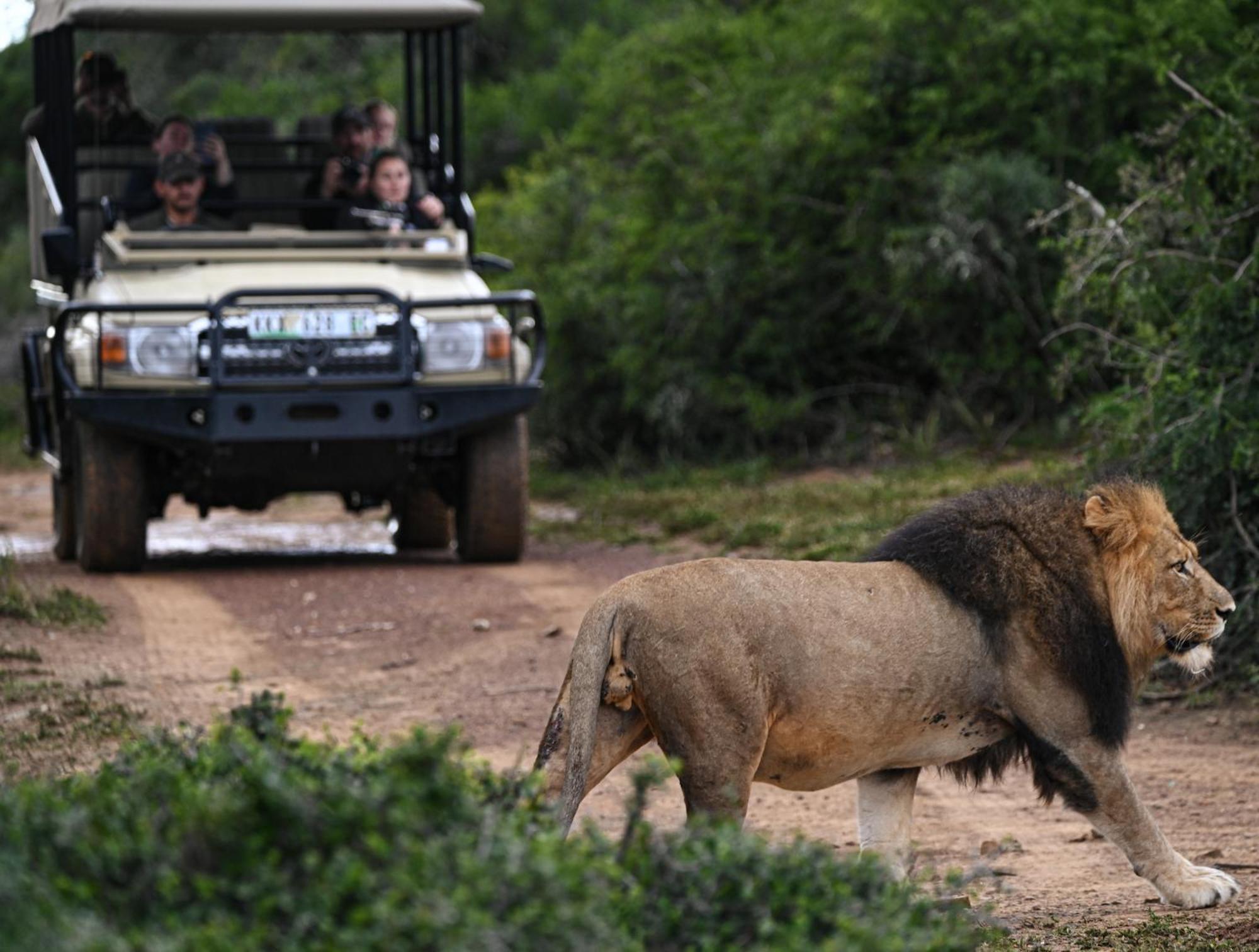 Addo Elephant Safari Lodge - Bellevue Forest Reserve Paterson Eksteriør bilde