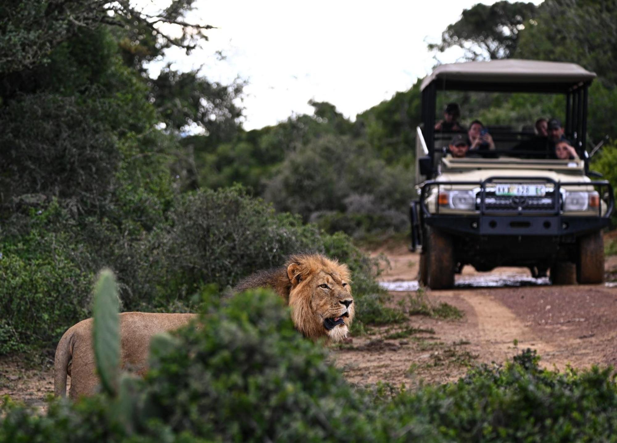 Addo Elephant Safari Lodge - Bellevue Forest Reserve Paterson Eksteriør bilde